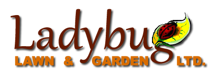 Ladybug Lawn & Garden